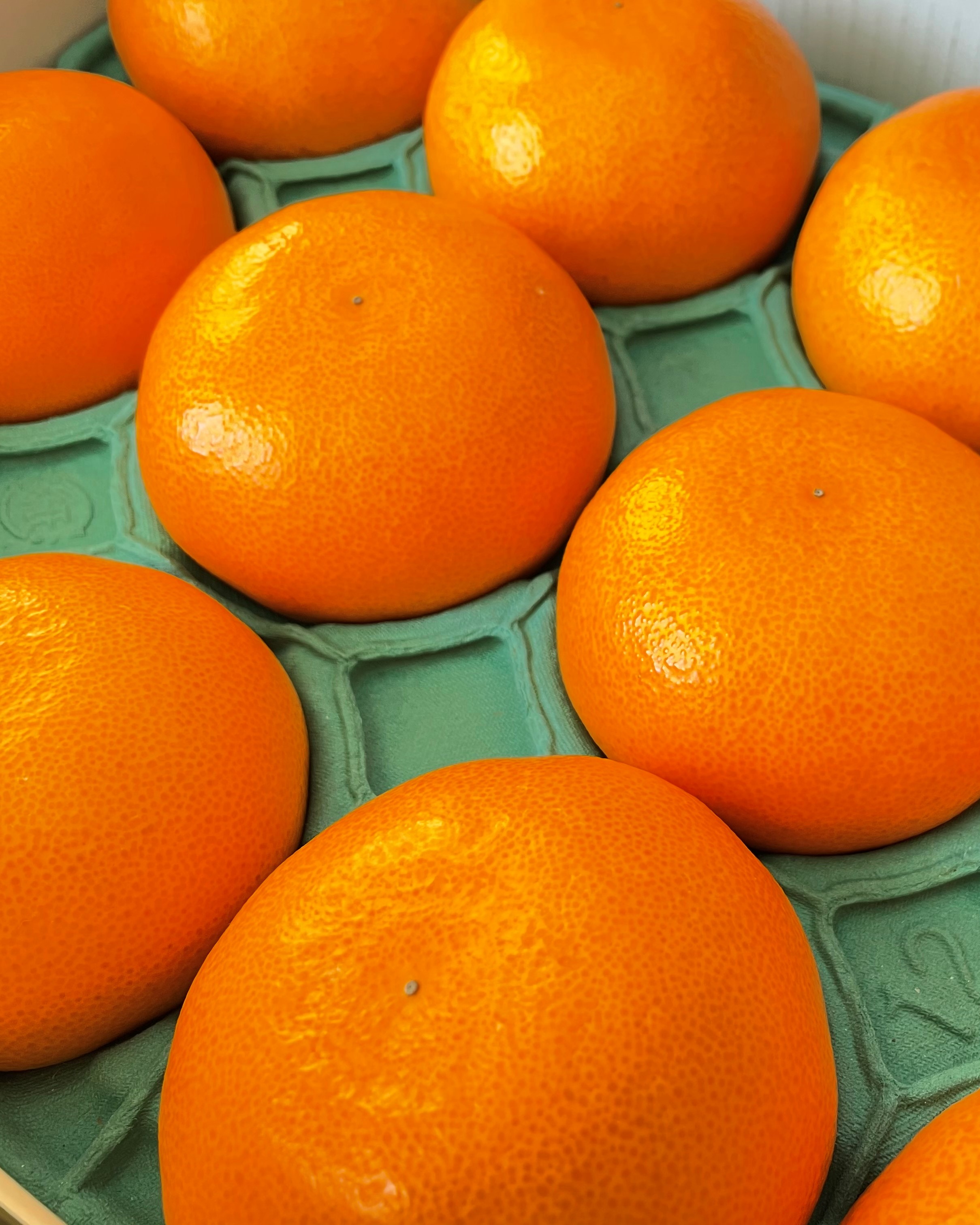 愛知 伊良湖産 せとか3 送料無料地域 関西 中部 北陸 信越 関東 ただし 北海道は 1500円 沖縄は00円 中国 四国 300円 東北 九州 600円 別途送料がかかります Anshin No オレンジ Padelnostro It